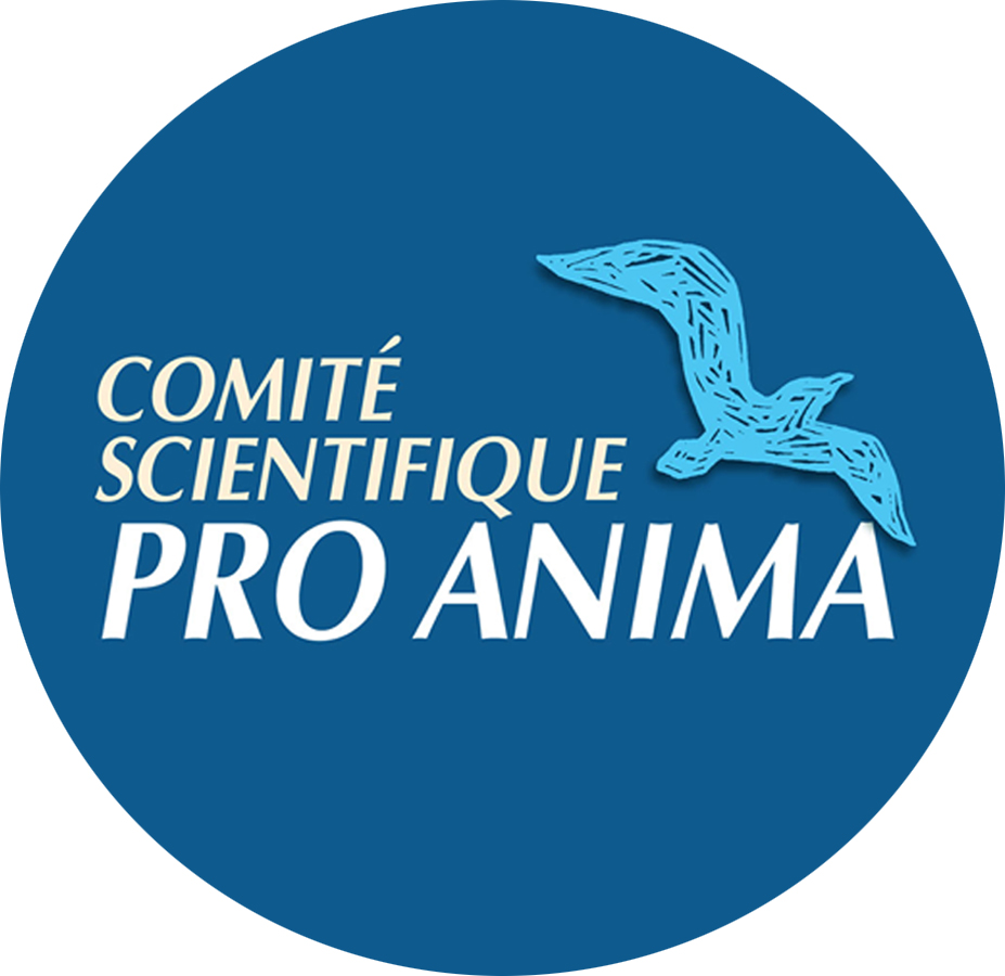 Pro Anima